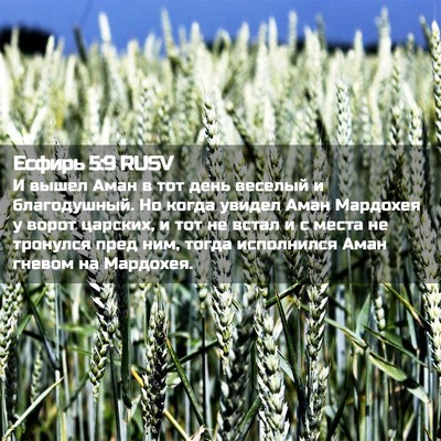 Picture 02 - Есфирь 5:9 RUSV - И вышел Аман в тот день - Bible Verse Picture
