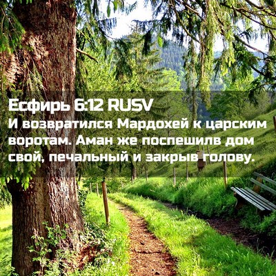 Picture 02 - Есфирь 6:12 RUSV - И возвратился Мардохей к - Bible Verse Picture