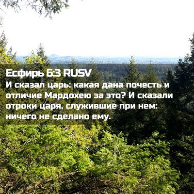 Picture 02 - Есфирь 6:3 RUSV - И сказал царь: какая дана - Bible Verse Picture