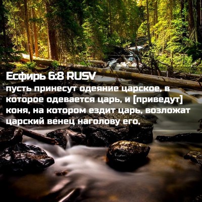 Picture 02 - Есфирь 6:8 RUSV - пусть принесут одеяние - Bible Verse Picture
