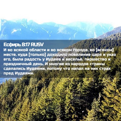 Picture 02 - Есфирь 8:17 RUSV - И во всякой области и во - Bible Verse Picture