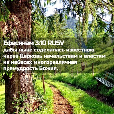 Picture 02 - Ефесянам 3:10 RUSV - дабы ныне соделалась - Bible Verse Picture
