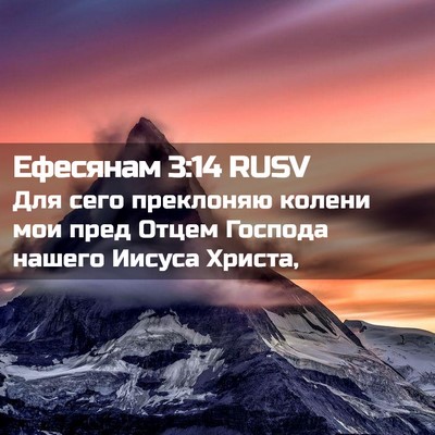 Picture 02 - Ефесянам 3:14 RUSV - Для сего преклоняю колени - Bible Verse Picture