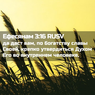 Picture 02 - Ефесянам 3:16 RUSV - да даст вам, по богатству - Bible Verse Picture