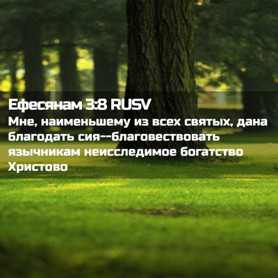 Picture 02 - Ефесянам 3:8 RUSV - Мне, наименьшему из всех - Bible Verse Picture