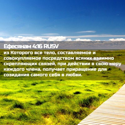 Picture 02 - Ефесянам 4:16 RUSV - из Которого все тело, - Bible Verse Picture