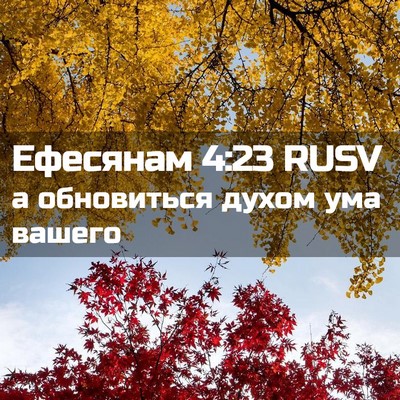 Picture 02 - Ефесянам 4:23 RUSV - а обновиться духом ума - Bible Verse Picture