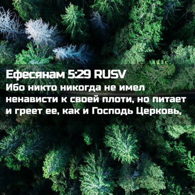 Picture 02 - Ефесянам 5:29 RUSV - Ибо никто никогда не имел - Bible Verse Picture