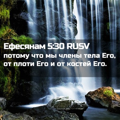 Picture 02 - Ефесянам 5:30 RUSV - потому что мы члены тела - Bible Verse Picture