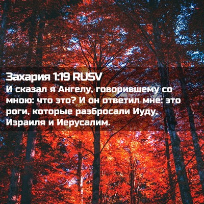 Picture 02 - Захария 1:19 RUSV - И сказал я Ангелу, - Bible Verse Picture