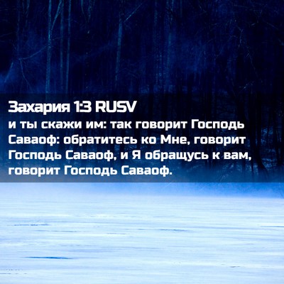 Picture 02 - Захария 1:3 RUSV - и ты скажи им: так говорит - Bible Verse Picture