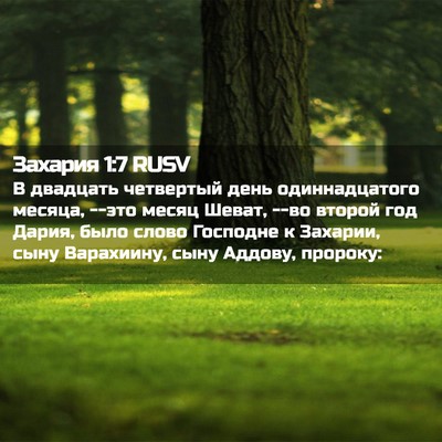 Picture 02 - Захария 1:7 RUSV - В двадцать четвертый день - Bible Verse Picture