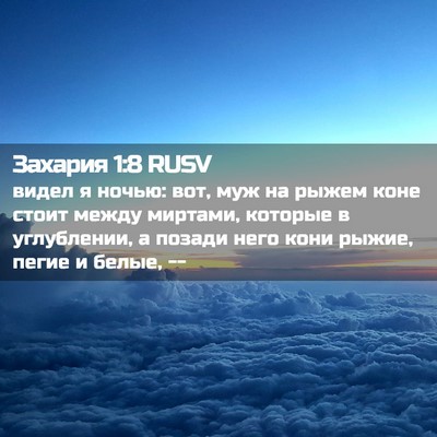 Picture 02 - Захария 1:8 RUSV - видел я ночью: вот, муж на - Bible Verse Picture