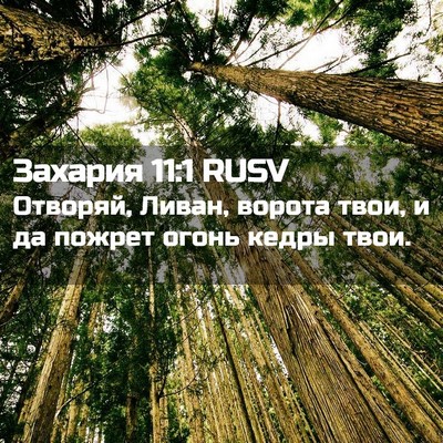 Picture 02 - Захария 11:1 RUSV - Отворяй, Ливан, ворота - Bible Verse Picture