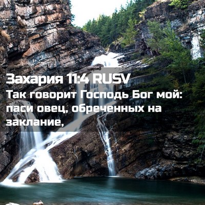 Picture 02 - Захария 11:4 RUSV - Так говорит Господь Бог - Bible Verse Picture