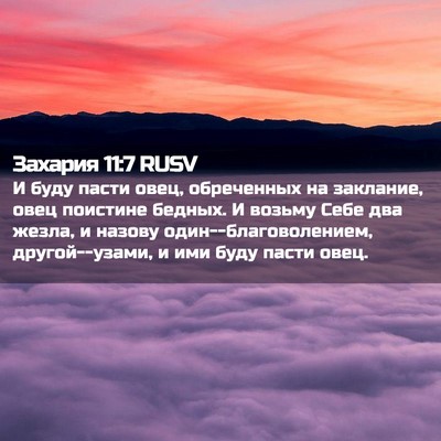 Picture 02 - Захария 11:7 RUSV - И буду пасти овец, - Bible Verse Picture