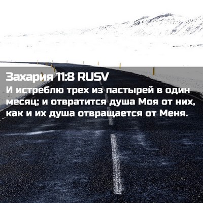 Picture 02 - Захария 11:8 RUSV - И истреблю трех из - Bible Verse Picture