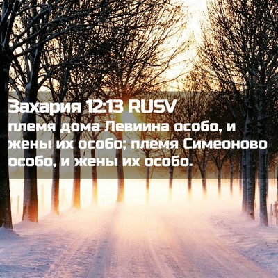 Picture 02 - Захария 12:13 RUSV - племя дома Левиина особо, и - Bible Verse Picture