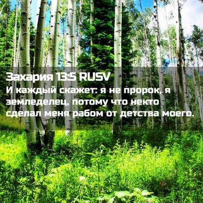 Picture 02 - Захария 13:5 RUSV - И каждый скажет: я не - Bible Verse Picture