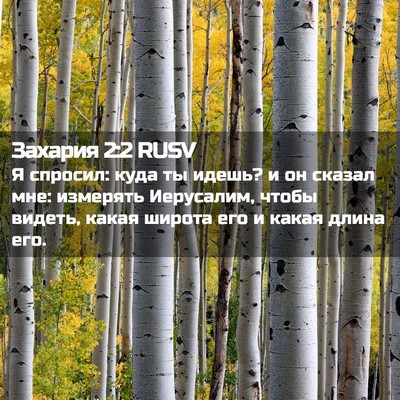 Picture 02 - Захария 2:2 RUSV - Я спросил: куда ты идешь? и - Bible Verse Picture
