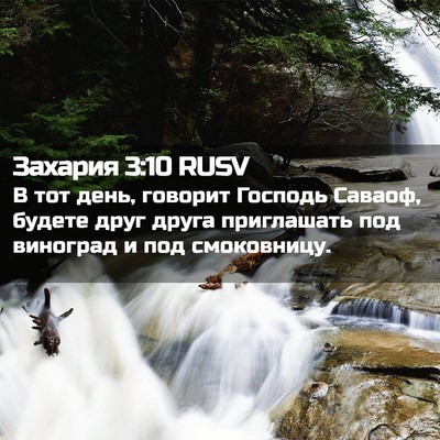 Picture 02 - Захария 3:10 RUSV - В тот день, говорит Господь - Bible Verse Picture