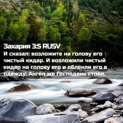 Picture 02 - Захария 3:5 RUSV - И сказал: возложите на - Bible Verse Picture