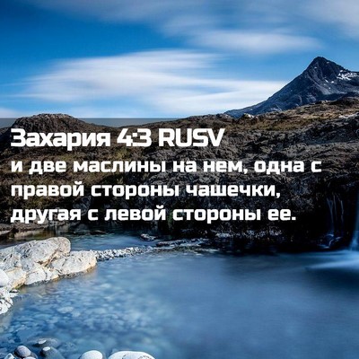 Picture 02 - Захария 4:3 RUSV - и две маслины на нем, одна с - Bible Verse Picture
