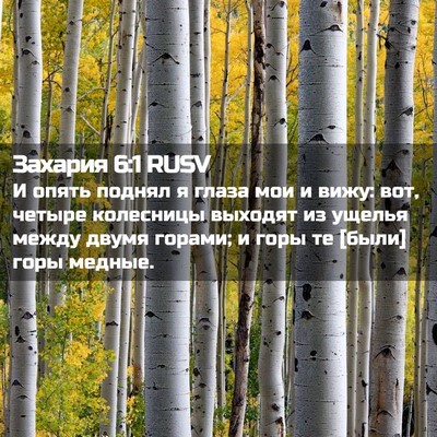 Picture 02 - Захария 6:1 RUSV - И опять поднял я глаза мои - Bible Verse Picture