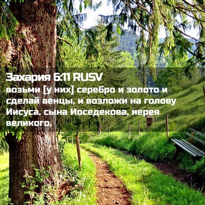 Picture 02 - Захария 6:11 RUSV - возьми [у них] серебро и - Bible Verse Picture