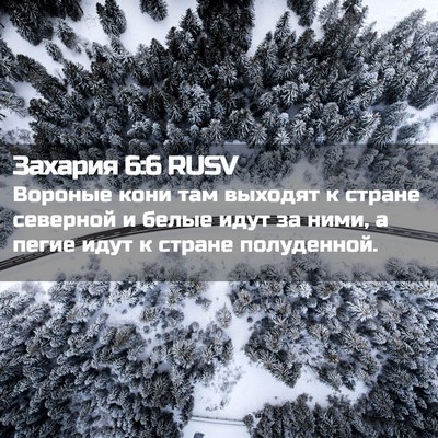 Picture 02 - Захария 6:6 RUSV - Вороные кони там выходят к - Bible Verse Picture