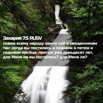 Picture 02 - Захария 7:5 RUSV - скажи всему народу земли - Bible Verse Picture