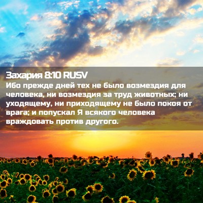 Picture 02 - Захария 8:10 RUSV - Ибо прежде дней тех не было - Bible Verse Picture