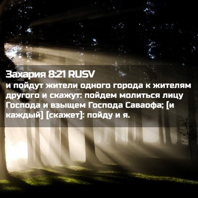 Picture 02 - Захария 8:21 RUSV - и пойдут жители одного - Bible Verse Picture