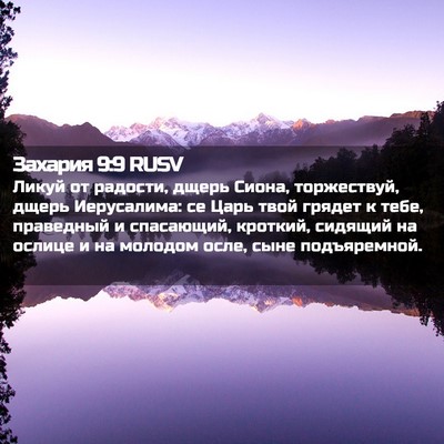 Picture 02 - Захария 9:9 RUSV - Ликуй от радости, дщерь - Bible Verse Picture