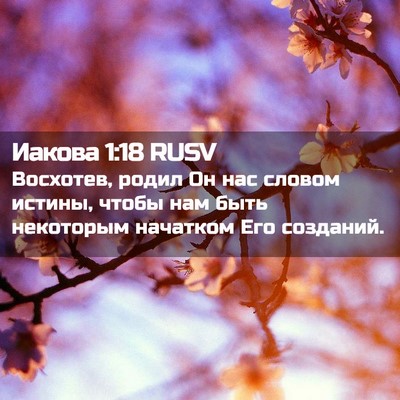 Picture 02 - Иакова 1:18 RUSV - Восхотев, родил Он нас - Bible Verse Picture