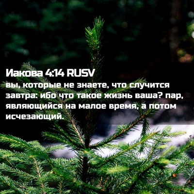 Picture 02 - Иакова 4:14 RUSV - вы, которые не знаете, что - Bible Verse Picture