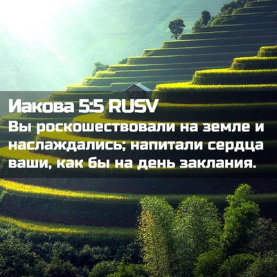 Picture 02 - Иакова 5:5 RUSV - Вы роскошествовали на - Bible Verse Picture