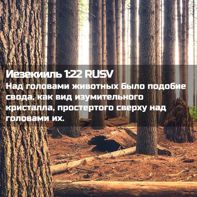 Picture 02 - Иезекииль 1:22 RUSV - Над головами животных было - Bible Verse Picture
