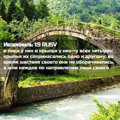 Picture 02 - Иезекииль 1:9 RUSV - и лица у них и крылья у - Bible Verse Picture