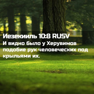 Picture 02 - Иезекииль 10:8 RUSV - И видно было у Херувимов - Bible Verse Picture