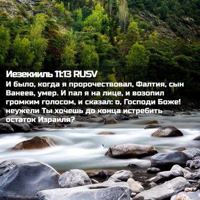 Picture 02 - Иезекииль 11:13 RUSV - И было, когда я - Bible Verse Picture