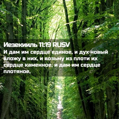 Picture 02 - Иезекииль 11:19 RUSV - И дам им сердце единое, и - Bible Verse Picture