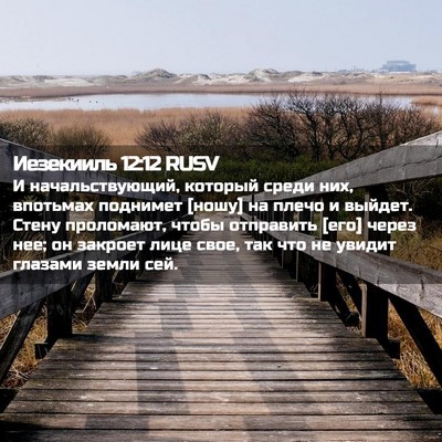 Picture 02 - Иезекииль 12:12 RUSV - И начальствующий, который - Bible Verse Picture