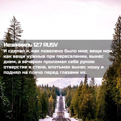 Picture 02 - Иезекииль 12:7 RUSV - И сделал я, как повелено - Bible Verse Picture