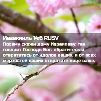 Picture 02 - Иезекииль 14:6 RUSV - Посему скажи дому - Bible Verse Picture