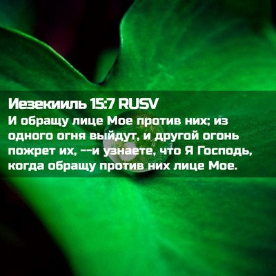 Picture 02 - Иезекииль 15:7 RUSV - И обращу лице Мое против - Bible Verse Picture