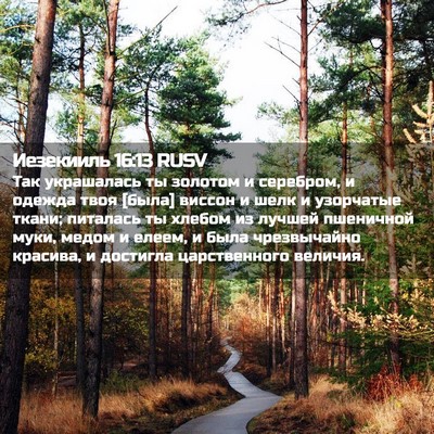 Picture 02 - Иезекииль 16:13 RUSV - Так украшалась ты золотом - Bible Verse Picture