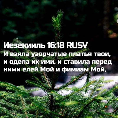 Picture 02 - Иезекииль 16:18 RUSV - И взяла узорчатые платья - Bible Verse Picture
