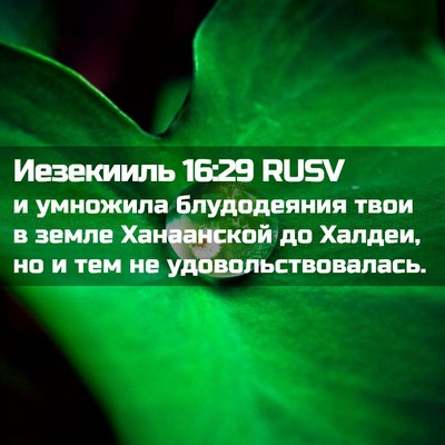 Picture 02 - Иезекииль 16:29 RUSV - и умножила блудодеяния - Bible Verse Picture