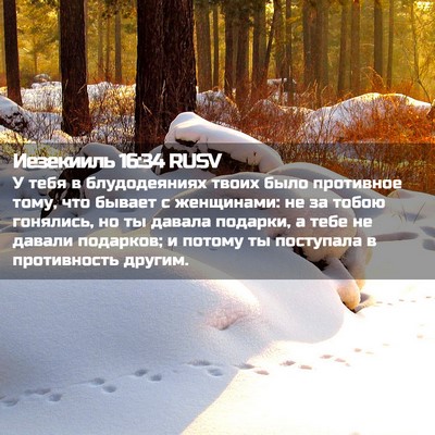 Picture 02 - Иезекииль 16:34 RUSV - У тебя в блудодеяниях - Bible Verse Picture